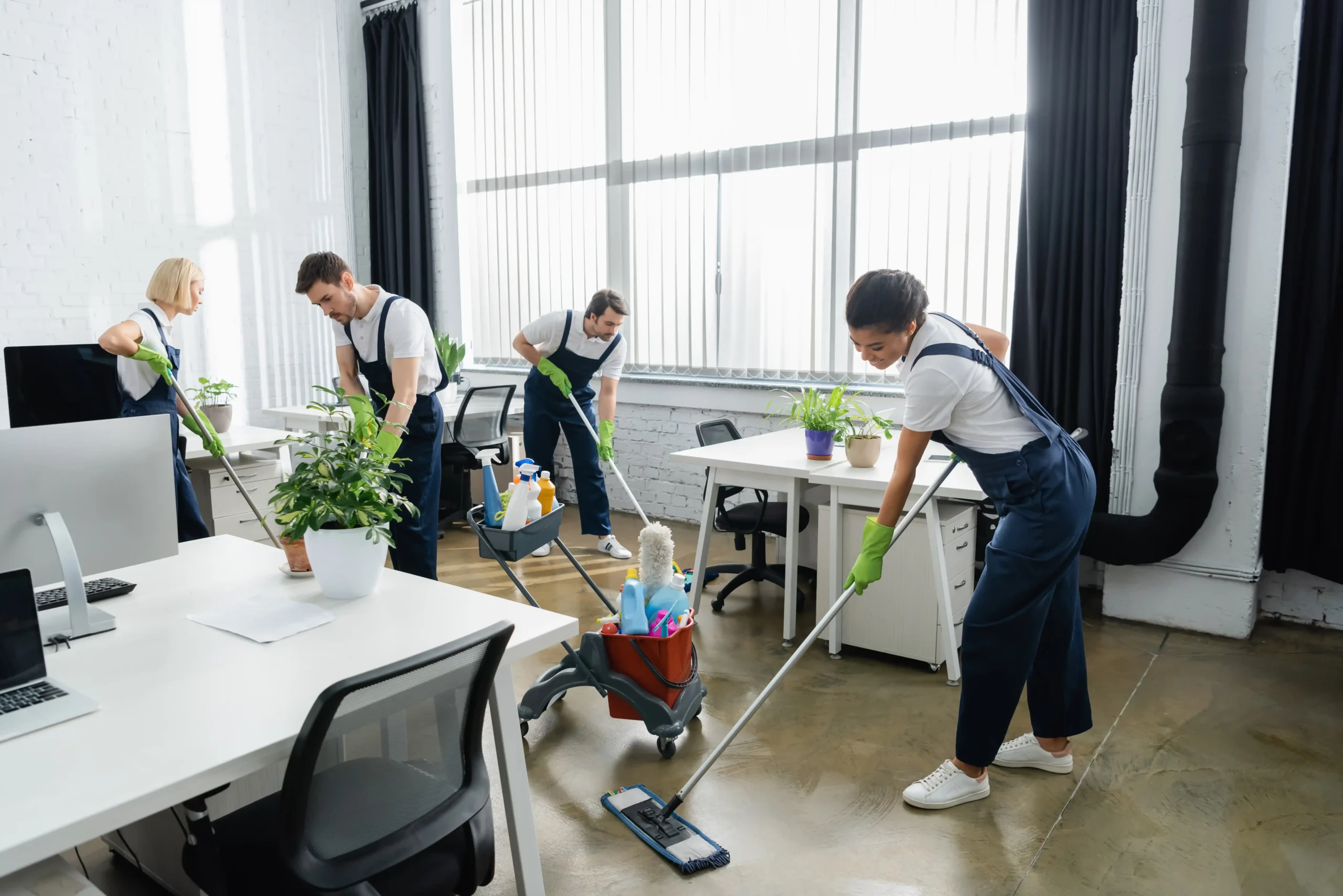 Cleaners near you in Sydney